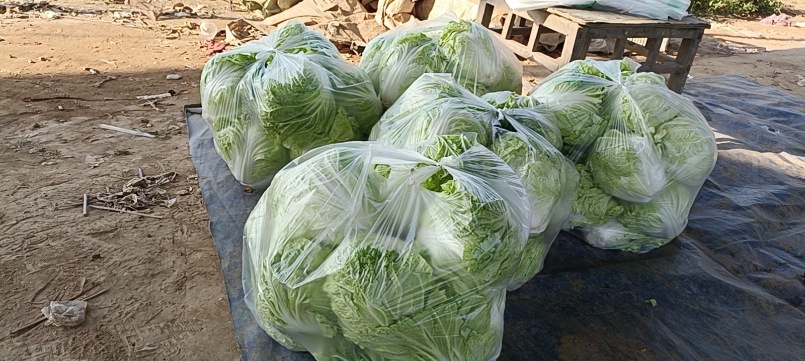 新鲜菠菜与活蟹的市场选购场景