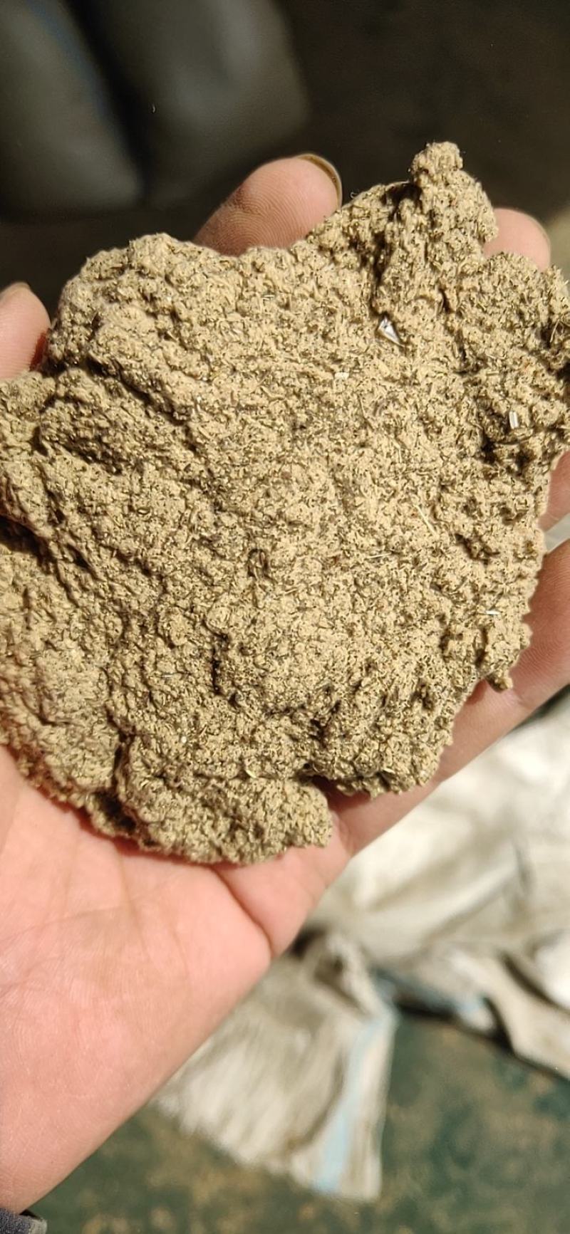 大量出售艾粉60目-100目出售艾渣