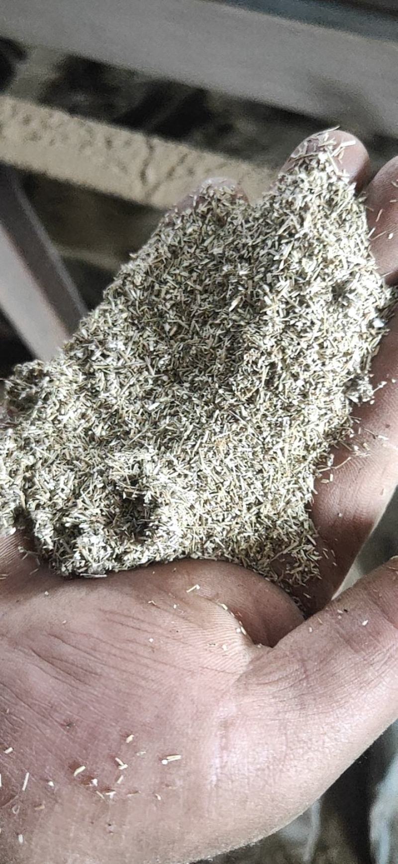 大量出售艾粉60目-100目出售艾渣