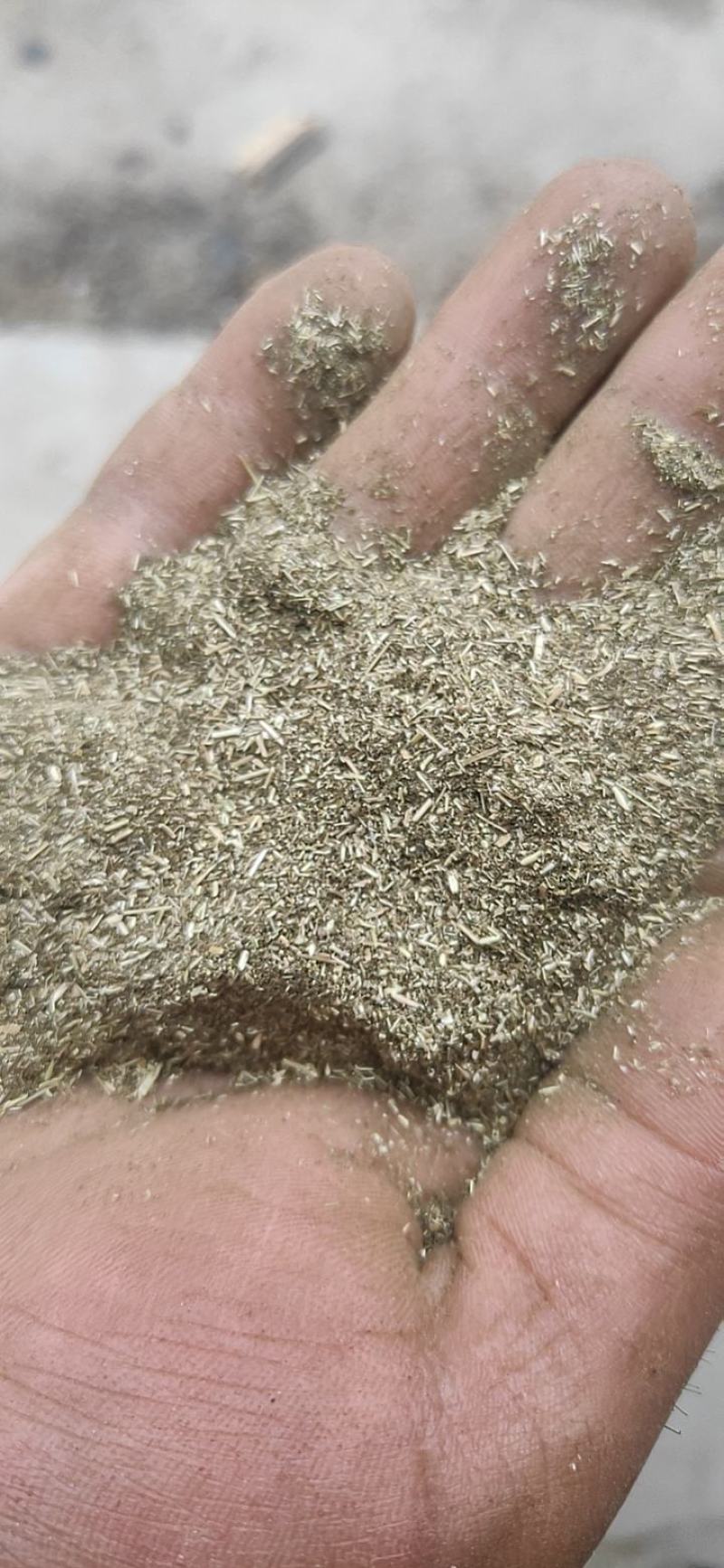 大量出售艾粉60目-100目出售艾渣