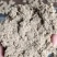 大量出售艾粉60目-100目出售艾渣