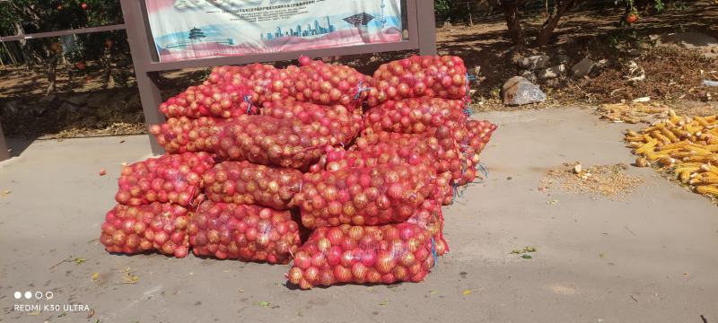 石榴大量上市饮料厂石榴大量供应