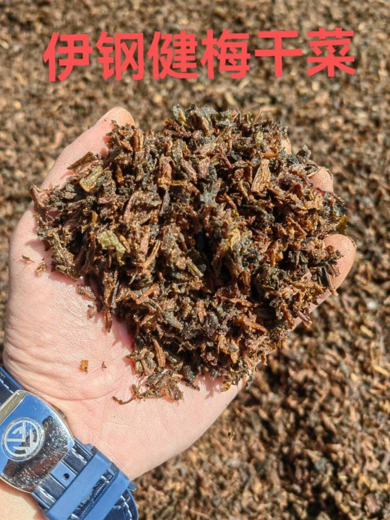 【实力商家】伊钢健梅干菜蒸菜黑细蒸梅干菜做包子做饼。
