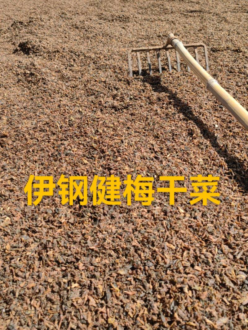 【实力商家】伊钢健梅干菜蒸菜黑细蒸梅干菜做包子做饼。