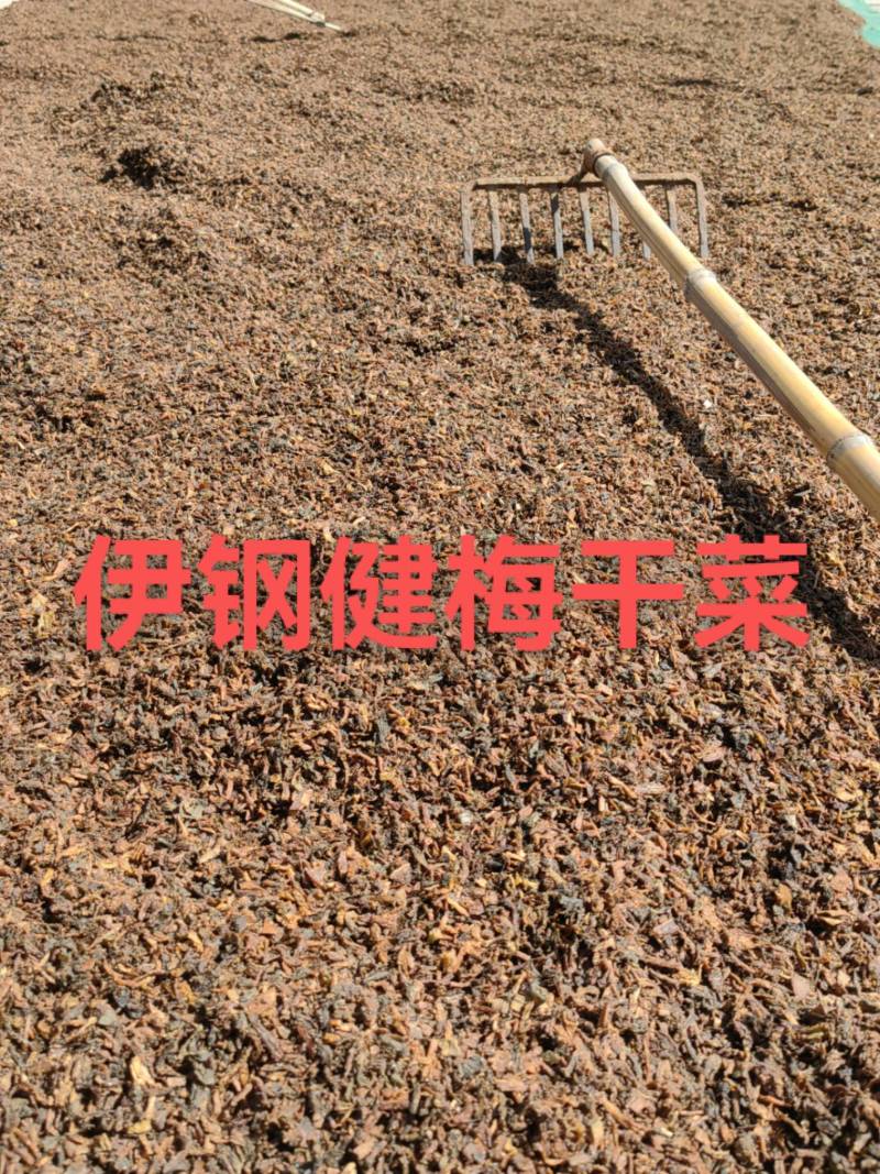 【实力商家】伊钢健梅干菜蒸菜黑细蒸梅干菜做包子做饼。