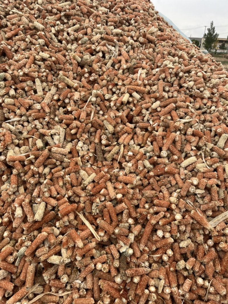 常年出售玉米芯玉米芯颗粒