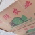 【推荐】线椒新鲜线椒螺丝椒品种齐全货源充足