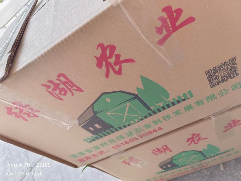 【推荐】线椒新鲜线椒螺丝椒品种齐全货源充足