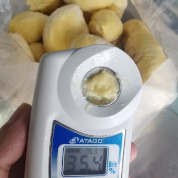 带核AB级榴莲果肉