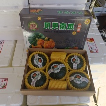 板栗味小南瓜