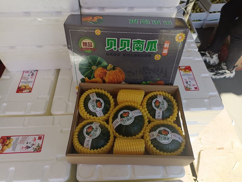 板栗味小南瓜