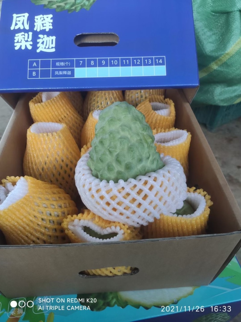 台湾风梨释迦果大量上市啦，欢迎预定