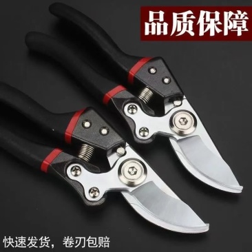 原装德国进口修枝剪粗枝剪园艺园林家用剪刀家用