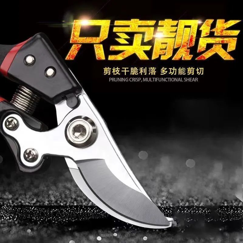 原装德国进口修枝剪粗枝剪园艺园林家用剪刀家用