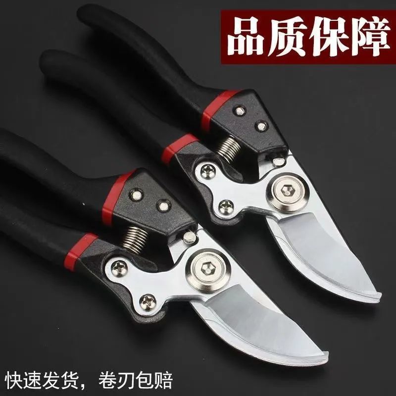 原装德国进口修枝剪粗枝剪园艺园林家用剪刀家用