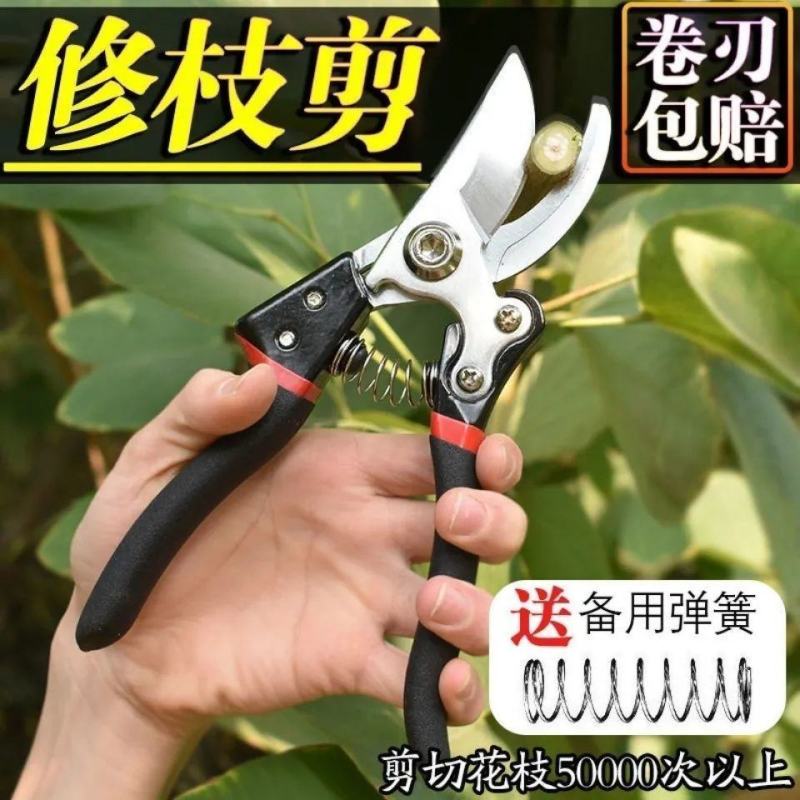 原装德国进口修枝剪粗枝剪园艺园林家用剪刀家用