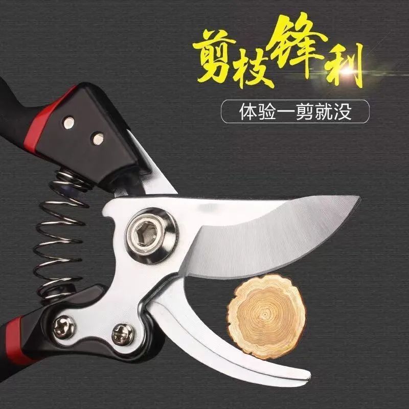 原装德国进口修枝剪粗枝剪园艺园林家用剪刀家用