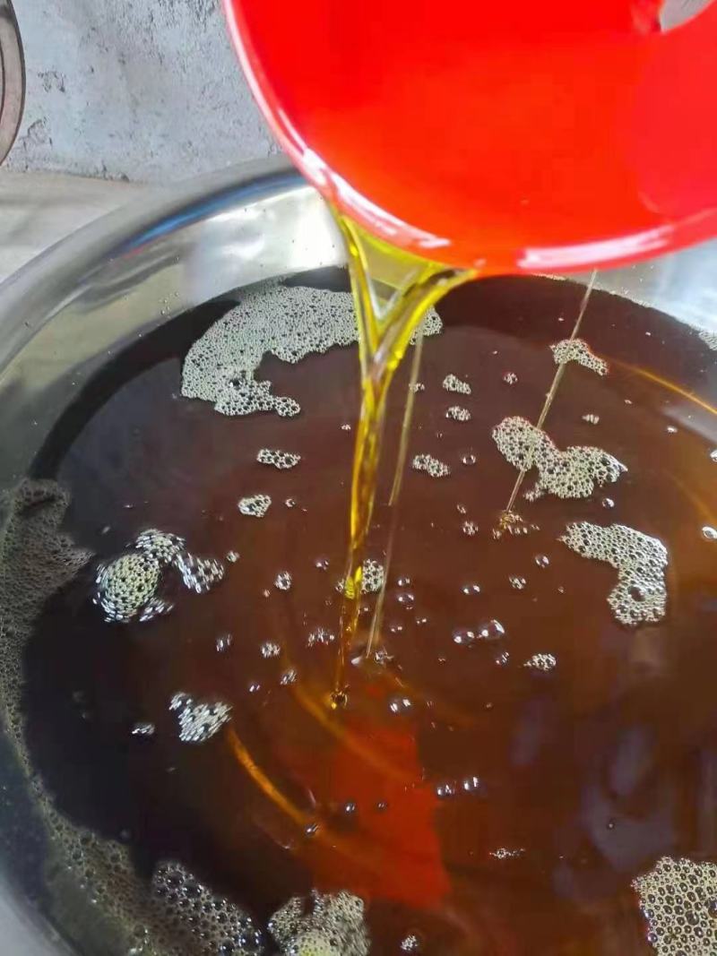 广西高山老茶籽小茶山茶籽油现摘新鲜山茶果