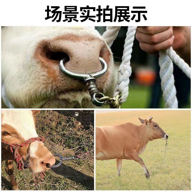 牛鼻环牛鼻圈牛鼻栓牵引器免打孔自动弹簧大号养殖牛工具拴牛