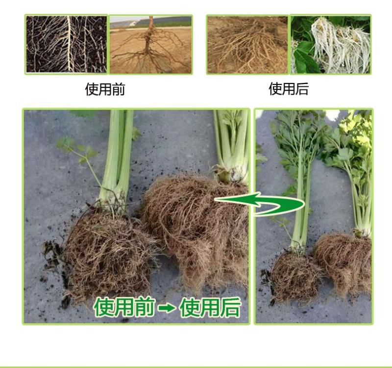 进口生根剂矿源黄腐酸生根肥海藻冲施肥水溶肥含芽孢杆菌肥