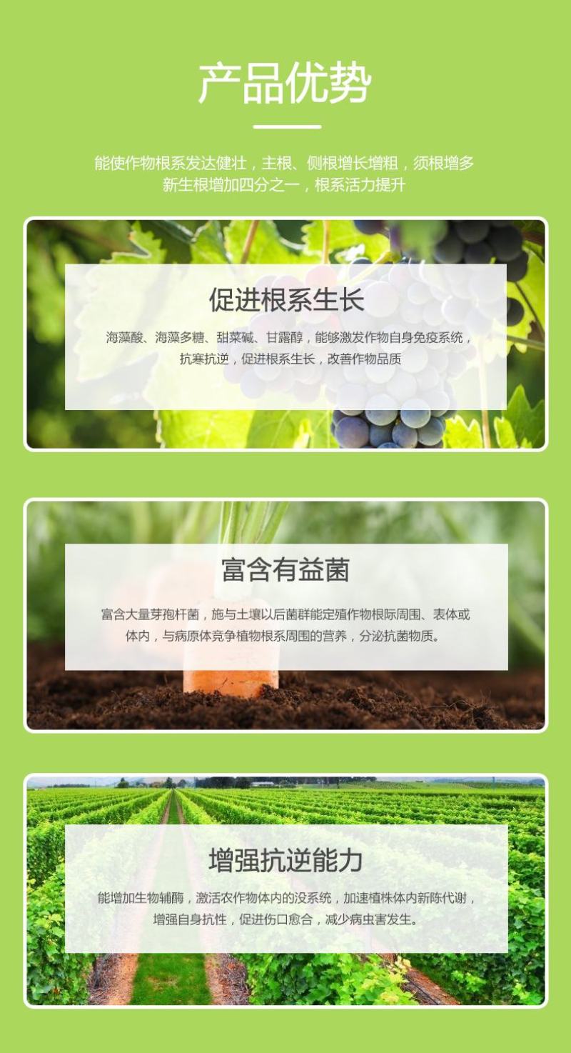 进口生根剂矿源黄腐酸生根肥海藻冲施肥水溶肥含芽孢杆菌肥