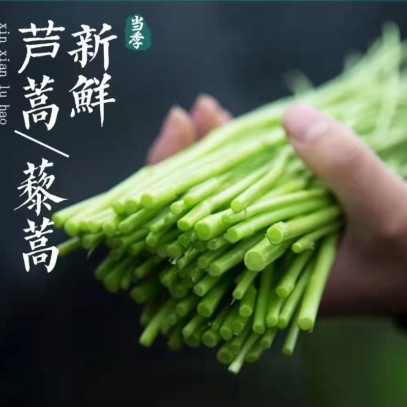 芦蒿精品，现割现卖，量大从优