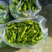 芜湖椒，甘蓝