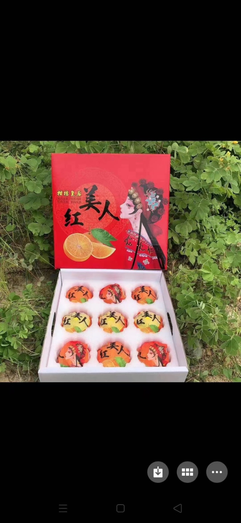 平和爱媛28号红美人果冻橙，一件代发，对接电商平台