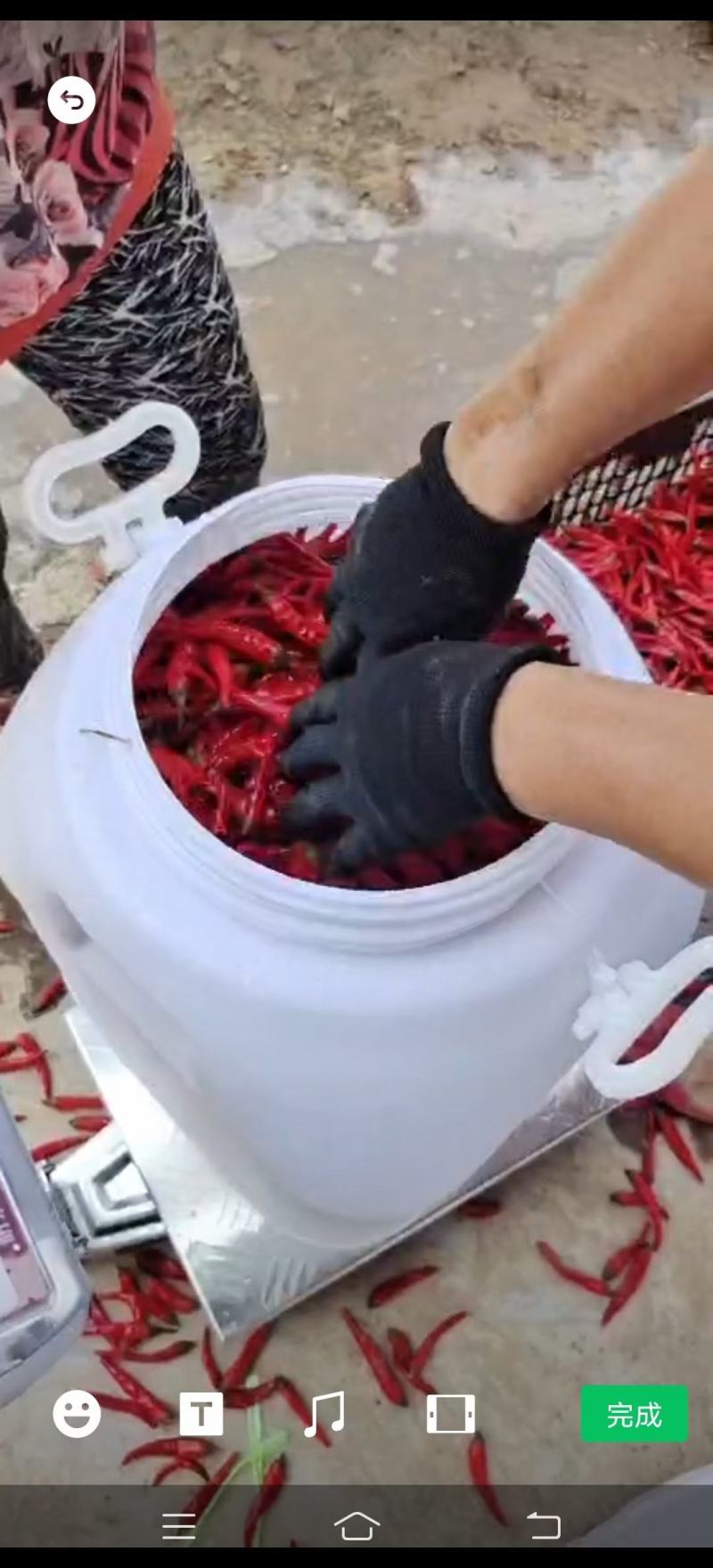 出售桶装，剁椒，泡椒，各种腌制酱菜，