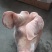 2093猪头