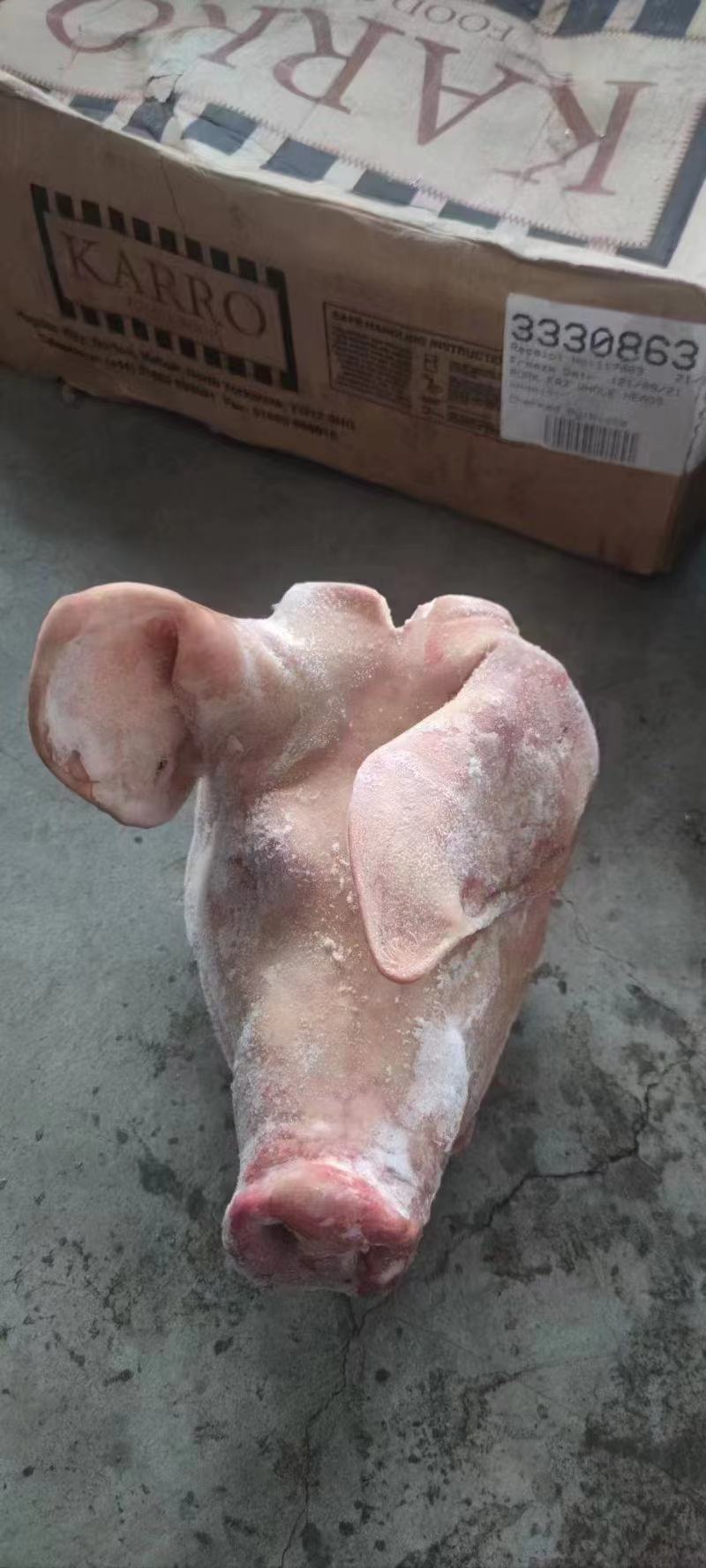 2093猪头
