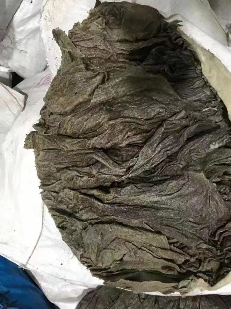 各个国家的货德国美国俄罗斯巴基斯坦