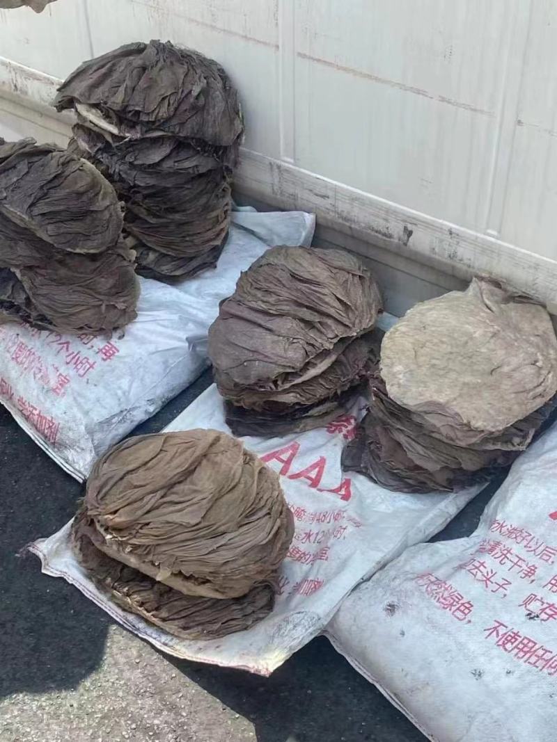 各个国家的货德国美国俄罗斯巴基斯坦