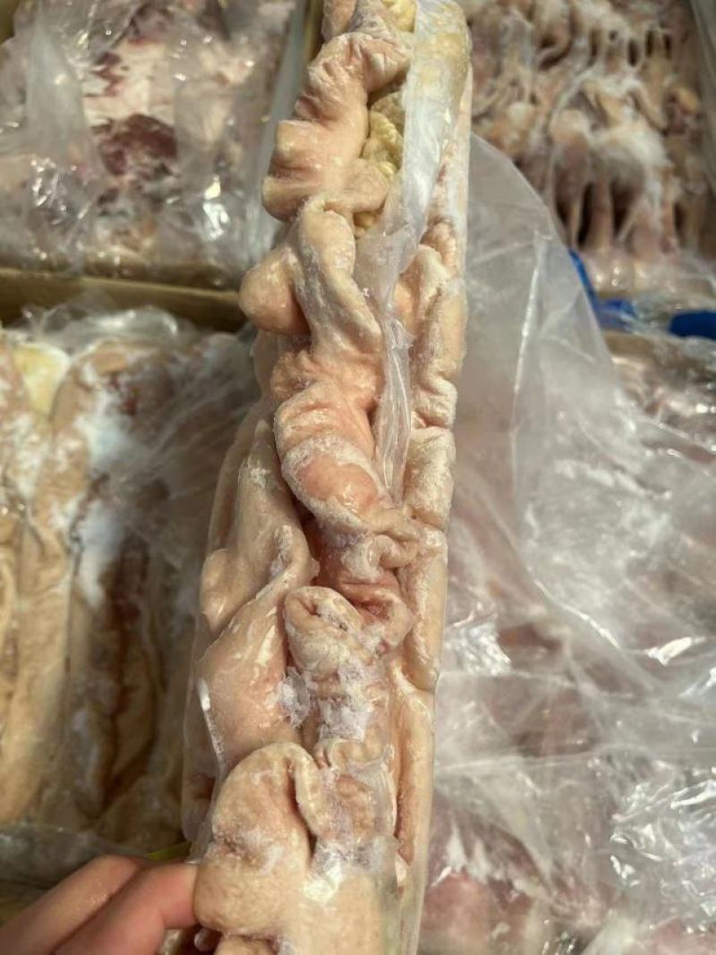 预煮精品猪大肠精修大肠头一级二级都有货