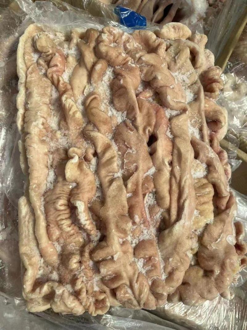 预煮精品猪大肠精修大肠头一级二级都有货