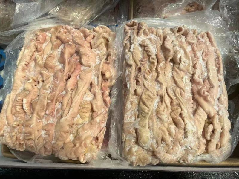 预煮精品猪大肠精修大肠头一级二级都有货