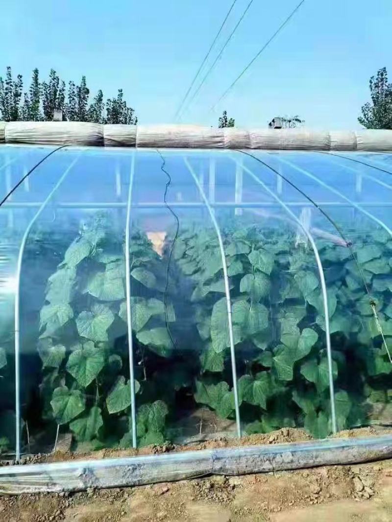 推荐大棚膜5+1精品po膜全新进口料可连续用5年防流滴