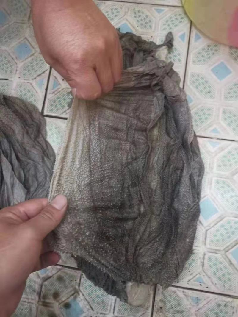 鲜百叶可做圆刀长刀每天有个1000斤左右