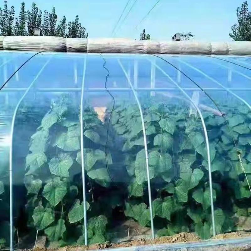 推荐大棚膜PO膜高透光高保温抗风抗拽不起雾不滴水可用5年