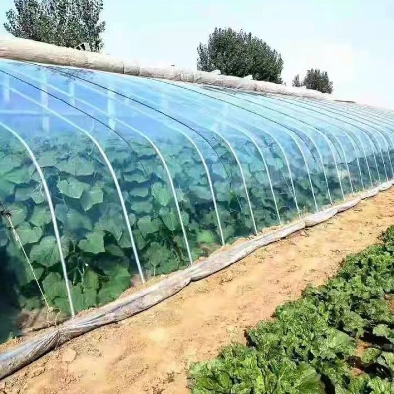推荐大棚膜PO膜高透光高保温抗风抗拽不起雾不滴水可用5年