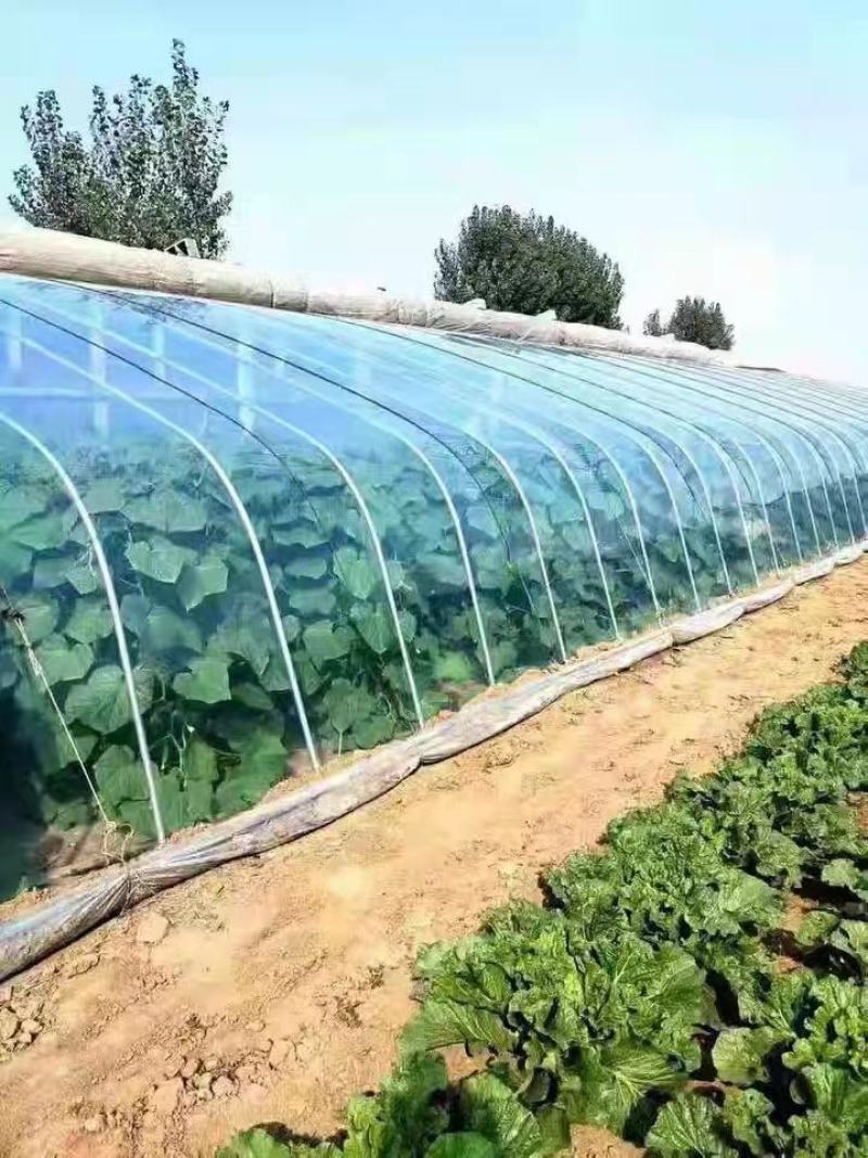 推荐大棚薄膜消雾无滴膜双防膜耐老化高透光高保温