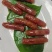 批发【海鲜腊肠】有干贝虾仁猪肉作成腊肠整箱起批实惠价