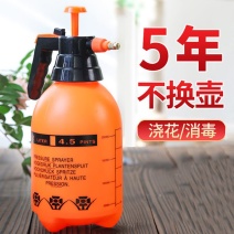 气压式浇花喷壶室内手拿喷雾壶多肉植物浇花喷壶消毒水清洁喷