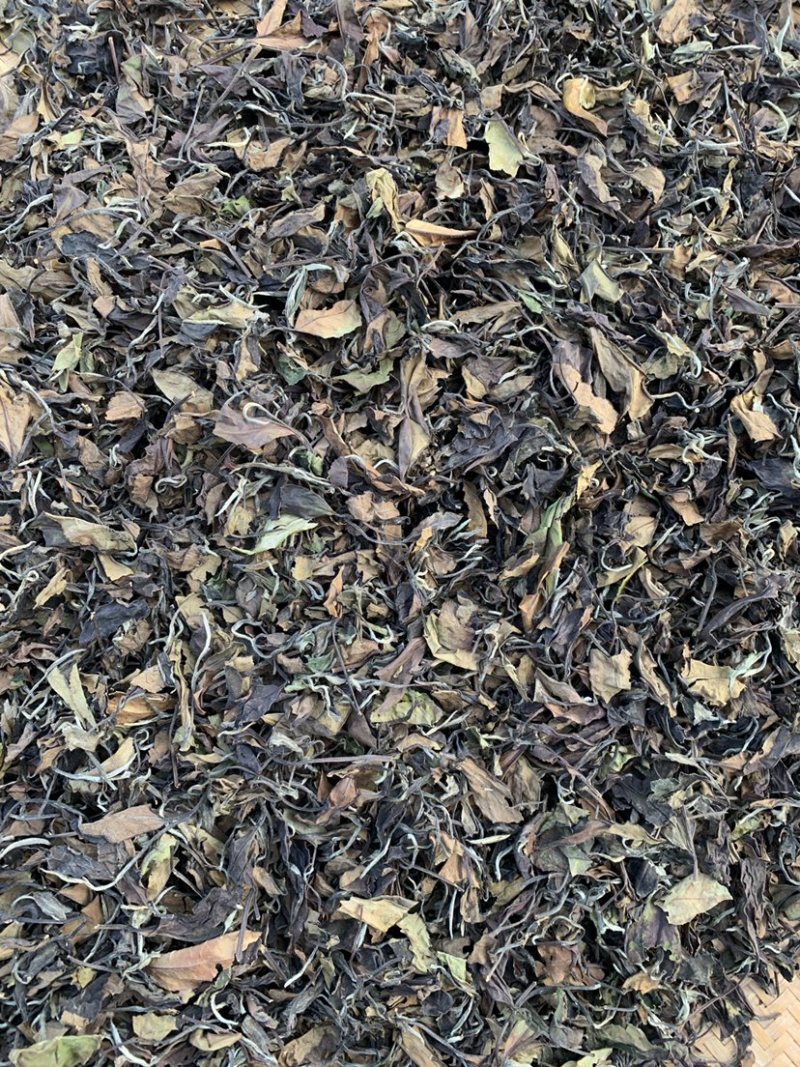大家好，我这边是生产福鼎白茶的厂家、福鼎白茶寿眉