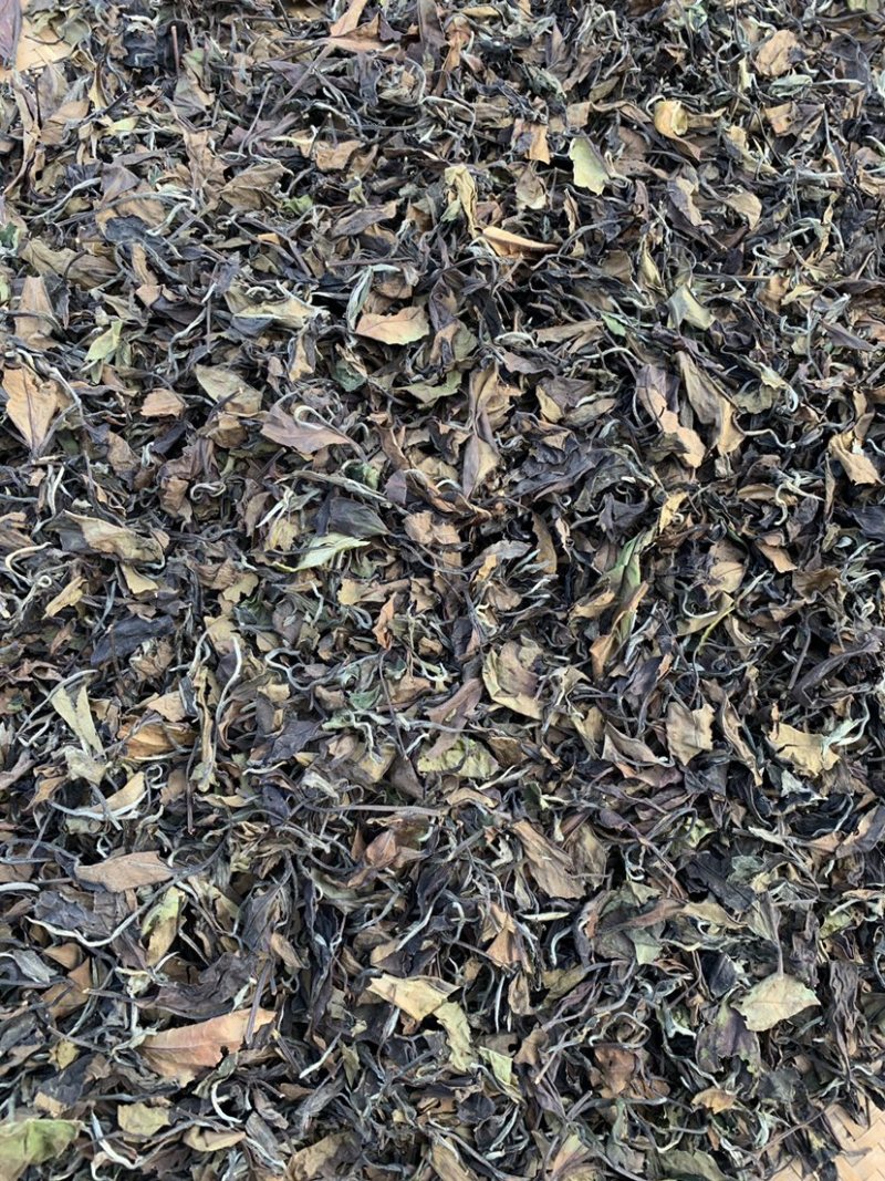 大家好，我这边是生产福鼎白茶的厂家、福鼎白茶寿眉