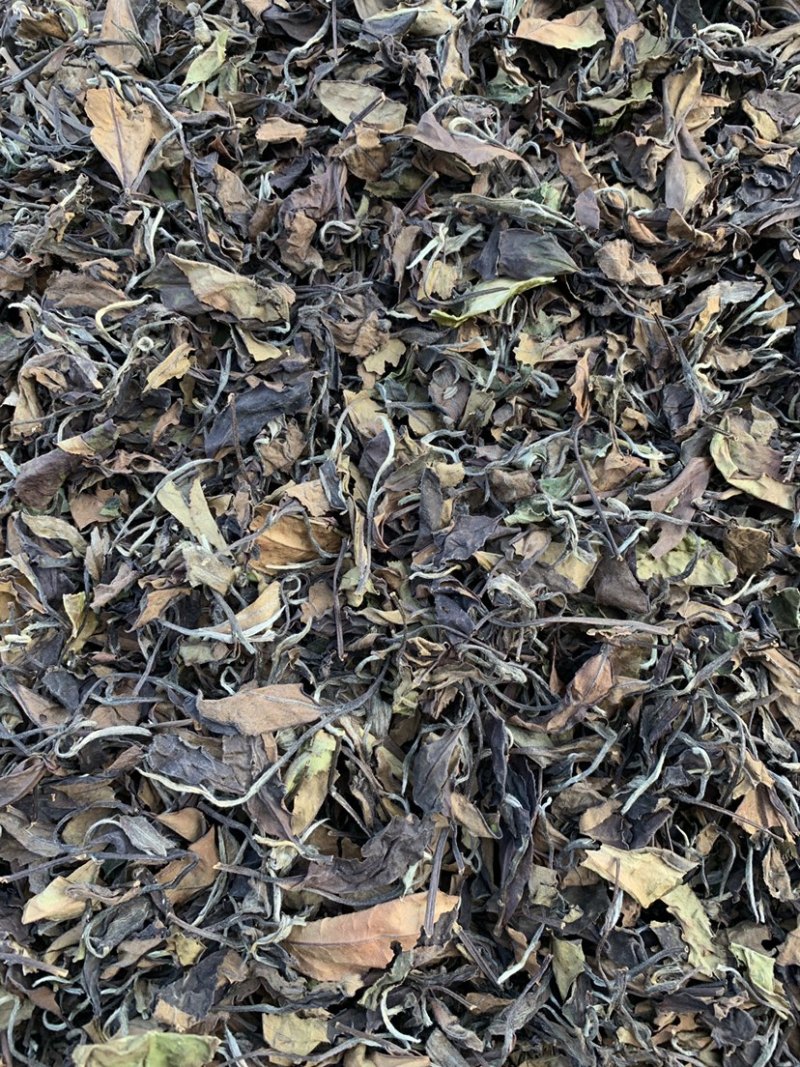 大家好，我这边是生产福鼎白茶的厂家、福鼎白茶寿眉
