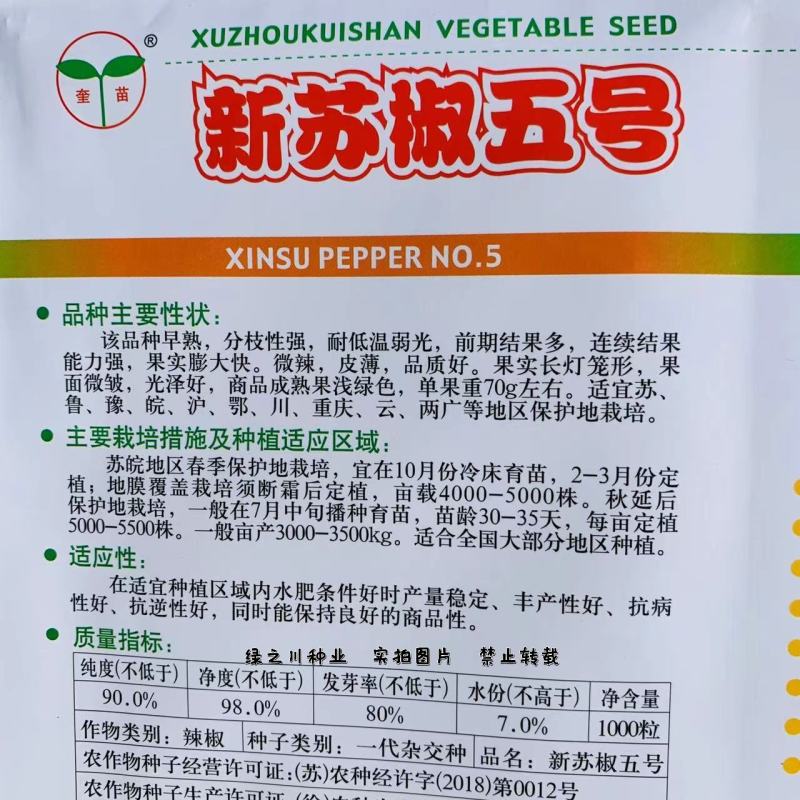 老品种辣椒新苏椒五号辣椒种子皮薄微辣早熟耐低温