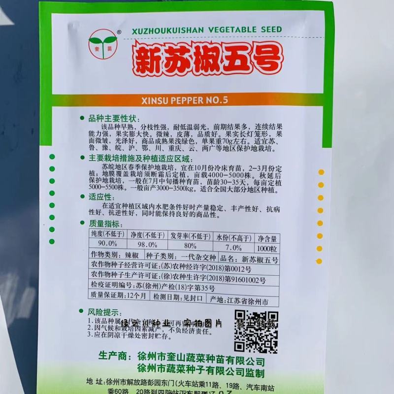 老品种辣椒新苏椒五号辣椒种子皮薄微辣早熟耐低温