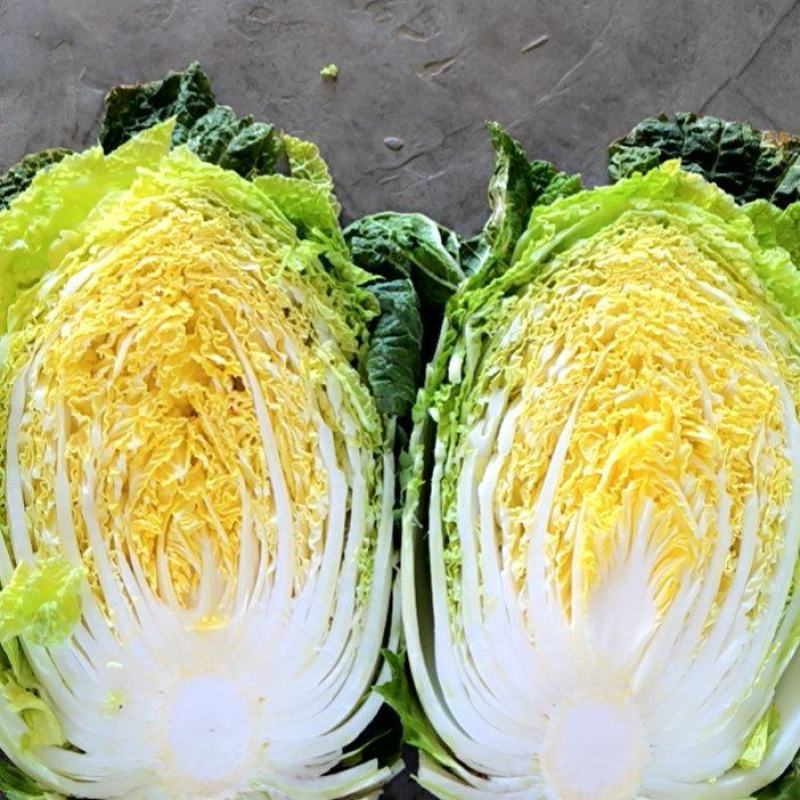 黄心大白菜