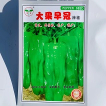 奎苗大果早冠辣椒种子品质好高产薄皮椒种子微辣抗病强